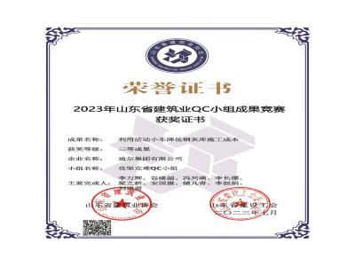 公司榮獲2023年榮獲省級QC成果利用活動(dòng)小車(chē)降低鋼灰庫施工成本