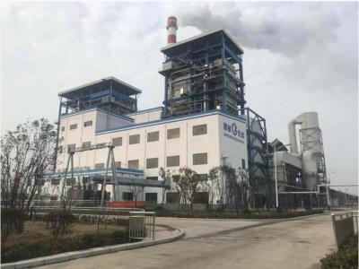 國楨阜陽(yáng)生物質(zhì)項目